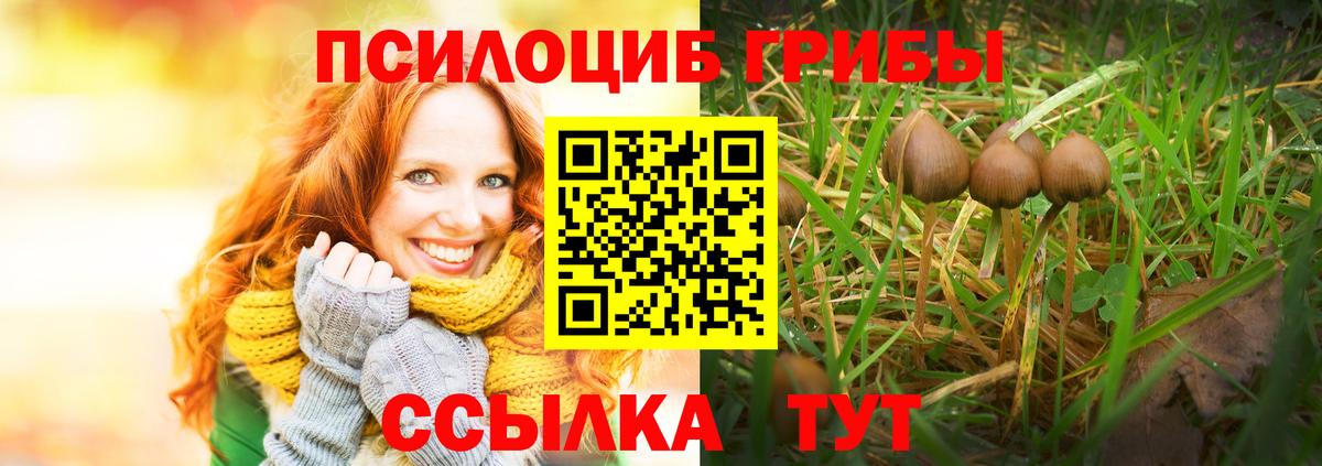Псилоцибиновые грибы ЛСД Кизилюрт