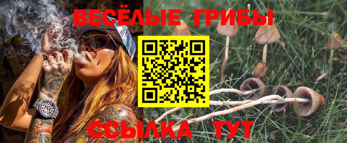 Псилоцибиновые грибы прущие грибы  Вход с VPN  Кизилюрт 